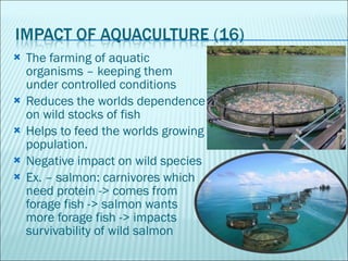 <ul><li>The farming of aquatic organisms – keeping them under controlled conditions </li></ul><ul><li>Reduces the worlds d...