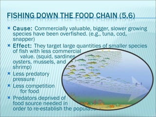 <ul><li>Cause:  Commercially valuable, bigger, slower growing species have been overfished. (e.g., tuna, cod, snapper)  </...