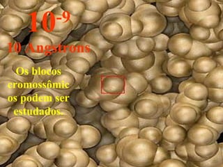 Os blocos cromossômicos podem ser estudados. 10 -9 10 Angstrons 
