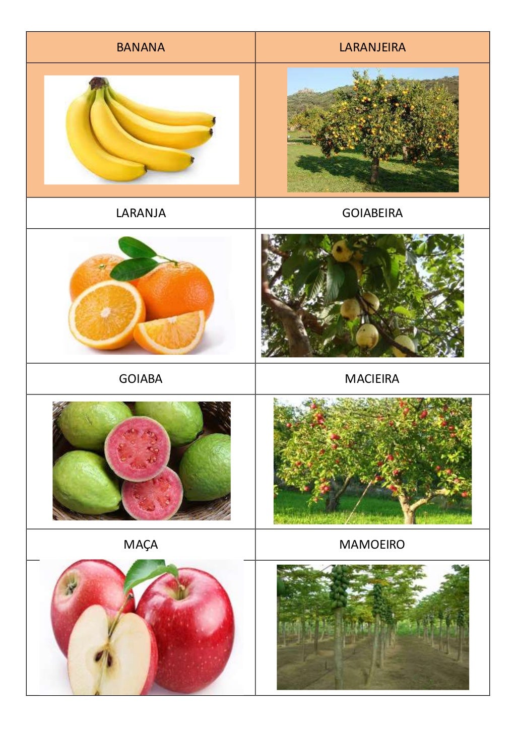 Dominó das árvores frutíferas