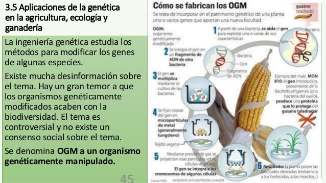 Aplicaciones De La Genetica En La Agricultura Ecológica Y Ganaderia