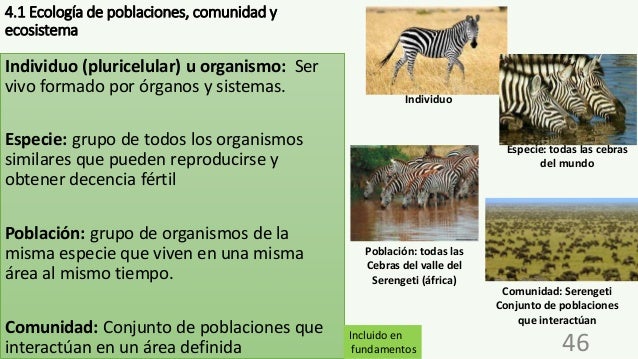 Domina biologia ecologia