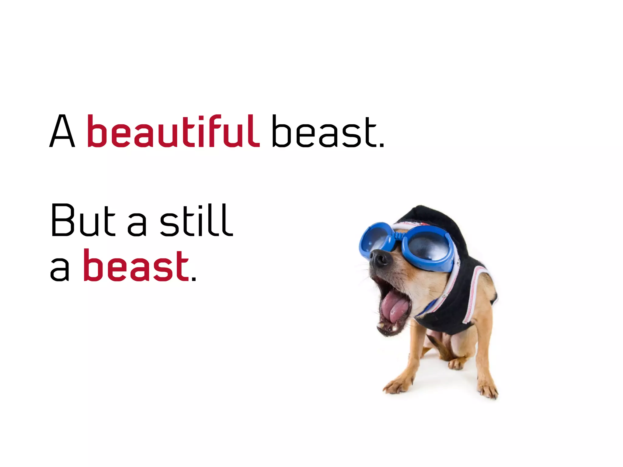 A beautiful beast.

But a still
a beast.
 