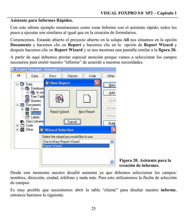 visual fox pro desde cero com 9.0 | PDF | Programming Languages | Computing