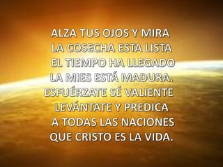 ALZA TUS OJOS Y MIRA  LA COSECHA ESTA LISTA  EL TIEMPO HA LLEGADO LA MIES ESTÁ MADURA.  ESFUÉRZATE SÉ VALIENTE    LEVÁNTATE Y PREDICA A TODAS LAS NACIONES QUE CRISTO ES LA VIDA. 