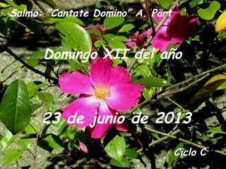 Ciclo C
Domingo XII del año
23 de junio de 2013
Salmo: “Cantate Domino” A. Pärt
 