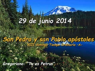 29 de junio 2014
San Pedro y san Pablo apóstoles
XIII domingo Tiempo Ordinario –A-
Gregoriano: “Tu es Petrus”
 