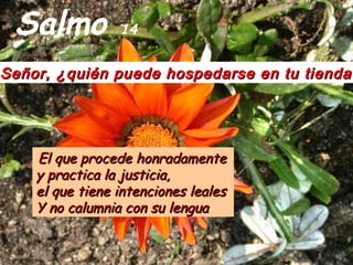 Salmo 14
Señor, ¿quién puede hospedarse en tu tienda?Señor, ¿quién puede hospedarse en tu tienda?
El que procede honradamenteEl que procede honradamente
y practica la justicia,y practica la justicia,
el que tiene intenciones lealesel que tiene intenciones leales
Y no calumnia con su lenguaY no calumnia con su lengua
 
