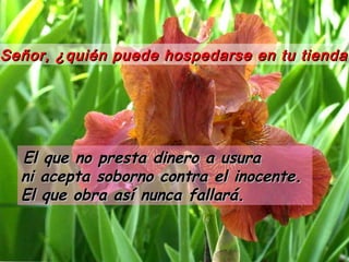 Señor, ¿quién puede hospedarse en tu tienda?Señor, ¿quién puede hospedarse en tu tienda?
El que no presta dinero a usuraEl que no presta dinero a usura
ni acepta soborno contra el inocente.ni acepta soborno contra el inocente.
El que obra así nunca fallará.El que obra así nunca fallará.
 