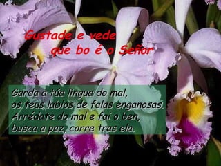 Gustade e vede
      que bo é o Señor


Garda a túa lingua do mal,
os teus labios de falas enganosas.
Arrédate do mal e fai o ben,
busca a paz, corre tras ela.
 