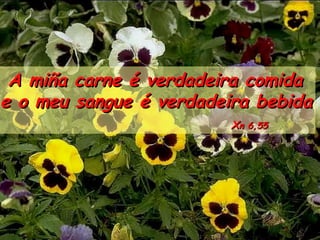 A miña carne é verdadeira comida
e o meu sangue é verdadeira bebida
                         Xn 6,55
 