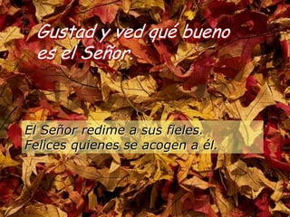 Gustad y ved qué bueno
 es el Señor.



El Señor redime a sus fieles.
Felices quienes se acogen a él.
 