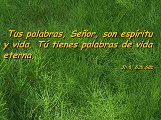 Tus palabras, Señor, son espíritu
y vida. Tú tienes palabras de vida
eterna,
                          Jn 6, 63b.68b
 