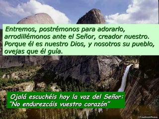 Entremos, postrémonos para adorarlo, arrodillémonos ante el Señor, creador nuestro. Porque él es nuestro Dios, y nosotros su pueblo, ovejas que él guía.   Ojalá escuchéis hoy la voz del Señor: “ No endurezcáis vuestro corazón” 