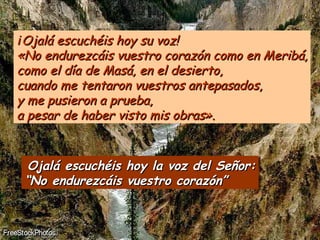 ¡ Ojalá escuchéis hoy su voz! «No endurezcáis vuestro corazón como en Meribá, como el día de Masá, en el desierto, cuando me tentaron vuestros antepasados, y me pusieron a prueba,  a pesar de haber visto mis obras». Ojalá escuchéis hoy la voz del Señor: “ No endurezcáis vuestro corazón” 