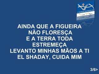 AINDA QUE A FIGUEIRA  NÃO FLORESÇA E A TERRA TODA ESTREMEÇA LEVANTO MINHAS MÃOS A TI EL SHADAY, CUIDA MIM 3/6> 