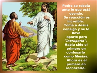 Pedro se rebela
ante lo que está
     oyendo.
 Su reacción es
    increíble.
 Toma a Jesús
 consigo y se lo
       lleva
    aparte para
  "increparlo".
  Había sido el
    primero en
   confesarlo
  como Mesías.
    Ahora es el
    primero en
   rechazarlo.
 