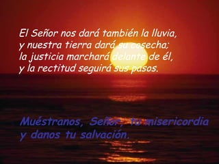 Muéstranos, Señor, tu misericordia y danos tu salvación. El Señor nos dará también la lluvia, y nuestra tierra dará su cosecha; la justicia marchará delante de él, y la rectitud seguirá sus pasos.   