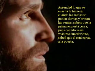 Aprended lo que os
enseña la higuera:
cuando las ramas se
ponen tiernas y brotan
las yemas, sabéis que la
primavera está cerca;
pues cuando veáis
vosotros suceder esto,
sabed que él está cerca,
a la puerta.
 