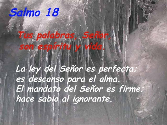 Resultado de imagen para Tus palabras, Señor, son espíritu y vida La ley del Señor es perfecta