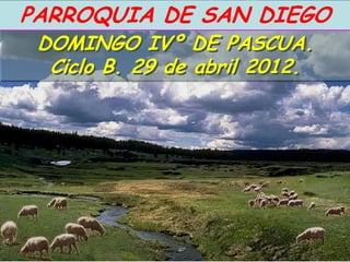 PARROQUIA DE SAN DIEGO
 DOMINGO IVº DE PASCUA.
  Ciclo B. 29 de abril 2012.
 