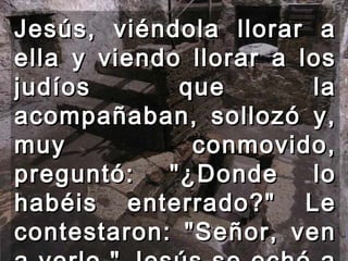 Jesús, viéndola llorar a ella y viendo llorar a los judíos que la acompañaban, sollozó y, muy conmovido, preguntó: "¿Donde lo habéis enterrado?" Le contestaron: "Señor, ven a verlo." Jesús se echó a llorar.  