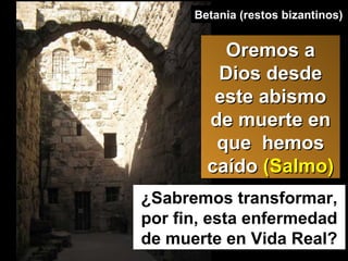 ¿Sabremos transformar, por fin, esta enfermedad de muerte en Vida Real? Betania (restos bizantinos) Oremos a Dios desde este abismo de muerte en que  hemos caído  (Salmo) 