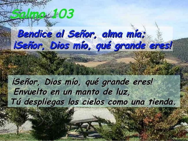 Salmo 103 Bendice al Señor, alma mía;¡Señor, Dios mío, qué grande eres!¡Señor, Dios mío, qué grande eres! Envuelto en un m...