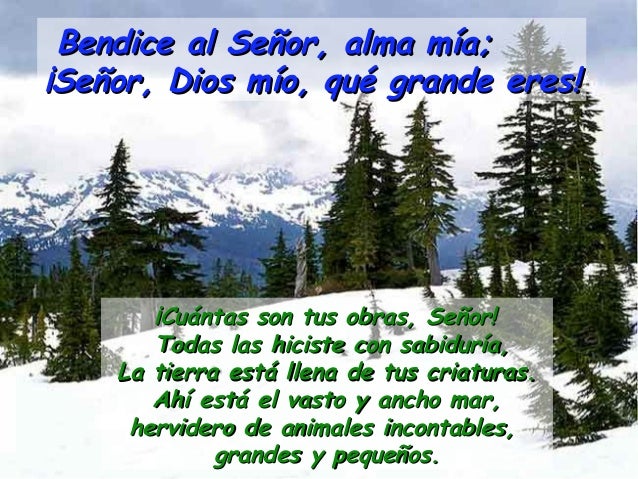 Bendice al Señor, alma mía;¡Señor, Dios mío, qué grande eres! ¡Cuántas son tus obras, Señor! Todas las hiciste...