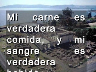 Mi carne es verdadera comida, y mi sangre es verdadera bebida.  