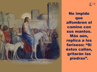 No impide
     que
alfombren el
 camino con
sus mantos.
  Más aún,
replica a los
fariseos: “Si
éstos callan,
 gritarán las
  piedras”.
 