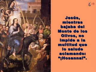 Jesús,
   mientras
  bajaba del
Monte de los
  Olivos, no
 impide a la
multitud que
   lo salude
 aclamando:
“¡Hosanna!”.
 