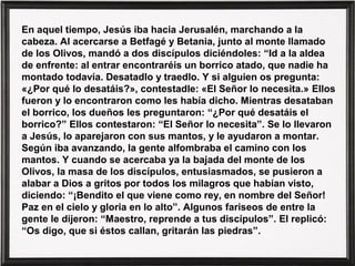 En aquel tiempo, Jesús iba hacia Jerusalén, marchando a la
cabeza. Al acercarse a Betfagé y Betania, junto al monte llamado
de los Olivos, mandó a dos discípulos diciéndoles: “Id a la aldea
de enfrente: al entrar encontraréis un borrico atado, que nadie ha
montado todavía. Desatadlo y traedlo. Y si alguien os pregunta:
«¿Por qué lo desatáis?», contestadle: «El Señor lo necesita.» Ellos
fueron y lo encontraron como les había dicho. Mientras desataban
el borrico, los dueños les preguntaron: “¿Por qué desatáis el
borrico?” Ellos contestaron: “El Señor lo necesita”. Se lo llevaron
a Jesús, lo aparejaron con sus mantos, y le ayudaron a montar.
Según iba avanzando, la gente alfombraba el camino con los
mantos. Y cuando se acercaba ya la bajada del monte de los
Olivos, la masa de los discípulos, entusiasmados, se pusieron a
alabar a Dios a gritos por todos los milagros que habían visto,
diciendo: “¡Bendito el que viene como rey, en nombre del Señor!
Paz en el cielo y gloria en lo alto”. Algunos fariseos de entre la
gente le dijeron: “Maestro, reprende a tus discípulos”. El replicó:
“Os digo, que si éstos callan, gritarán las piedras”.
 