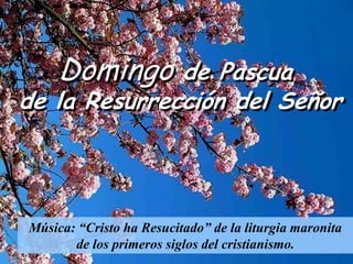 Domingo de Pascua
de la Resurrección del Señor
Música: “Cristo ha Resucitado” de la liturgia maronita
de los primeros siglos del cristianismo.
 