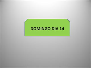DOMINGO DIA 14 