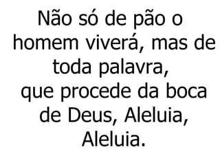 Não só de pão o homem viverá, mas de toda palavra,  que procede da boca de Deus, Aleluia, Aleluia. 