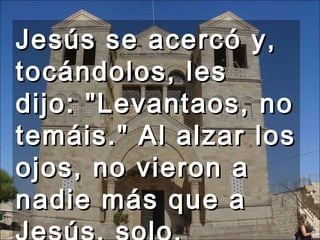 Jesús se acercó y, tocándolos, les dijo: "Levantaos, no temáis." Al alzar los ojos, no vieron a nadie más que a Jesús, solo.  