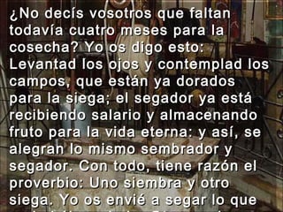 ¿No decís vosotros que faltan todavía cuatro meses para la cosecha? Yo os digo esto: Levantad los ojos y contemplad los campos, que están ya dorados para la siega; el segador ya está recibiendo salario y almacenando fruto para la vida eterna: y así, se alegran lo mismo sembrador y segador. Con todo, tiene razón el proverbio: Uno siembra y otro siega. Yo os envié a segar lo que no habéis sudado. Otros sudaron, y vosotros recogéis el fruto de sus sudores."  