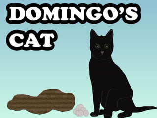 Domingo's cat book