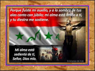 Cristianos de Irak 
 