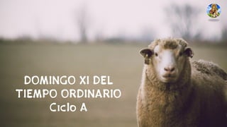 DOMINGO XI DEL
TIEMPO ORDINARIO
Ciclo A
 