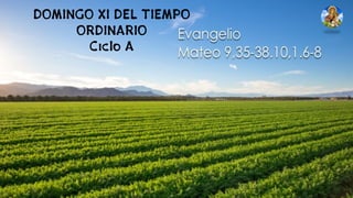 DOMINGO XI DEL TIEMPO
ORDINARIO
Ciclo A
 