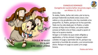 EVANGELIO DOMINGO
Evangelio de nuestro Señor Jesucristo según
san Mateo 11, 25-30
Jesús dijo:
Te alabo, Padre, Señor del cielo y de la tierra,
porque habiendo ocultado estas cosas a los
sabios y a los prudentes y las has revelado a los
pequeños. Sí, Padre, porque así lo has querido.
Todo me ha sido dado por mi Padre, y nadie
conoce al Hijo sino el Padre, así como nadie
conoce al Padre sino el Hijo y aquél a quien el
Hijo se lo quiera revelar.
Vengan a mí todos los que están afligidos y
agobiados, y Yo los aliviaré. Carguen sobre
ustedes mi yugo y aprendan de mí, porque soy
paciente y humilde de corazón, y así encontrarán
alivio. Porque mi yugo es suave y mi carga
liviana.
Palabra del Señor.
 