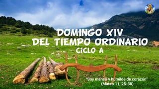 DOMINGO XIV
DEL TIEMPO ORDINARIO
Ciclo A
“Soy manso y humilde de corazón”
(Mateo 11, 25-30)
 