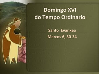 Domingo XVI
do Tempo Ordinario

    Santo Evanxeo
    Marcos 6, 30-34
 