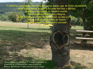 Y mientras caminamos, nos toca ser tierra buena  que da fruto abundante,  árbol cuyas ramas acogen a las aves heridas o débiles, levadura y fermento de nuestro mundo, trabajadores esforzados y alegres  en la construcción del Reino de Dios, ya aquí y ahora.  Porque hemos encontrado un tesoro y hemos puesto en Él nuestro corazón. Lucio Arauzo   Texto: Mateo 13,44-52 // 17 Tiempo Ordinario –A- Comentarios y presentación: Asun Gutiérrez. Música: Beethoven. Triple concierto en C. Largo  