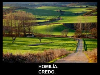 HOMILÍA. 
CREDO. 
 