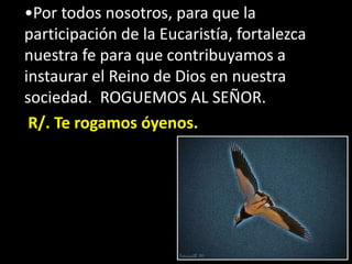•Por todos nosotros, para que la 
participación de la Eucaristía, fortalezca 
nuestra fe para que contribuyamos a 
instaur...