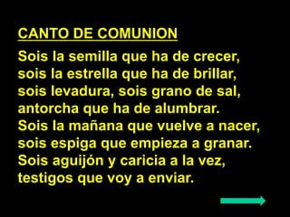 CANTO DE COMUNION 
Sois la semilla que ha de crecer, 
sois la estrella que ha de brillar, 
sois levadura, sois grano de sa...