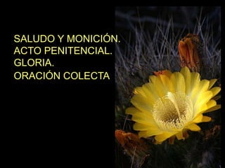 SALUDO Y MONICIÓN. 
ACTO PENITENCIAL. 
GLORIA. 
ORACIÓN COLECTA. 
 